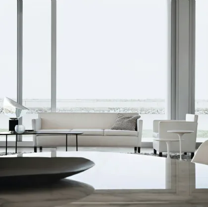 Divano Krefeld Sofa di Knoll