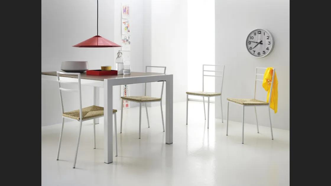 Sedia Quadrifoglio in metallo con seduta in paglia sintetica di Scavolini